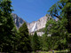 Yosemite and Sequoia