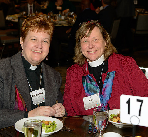Diocesan Convention 2015
