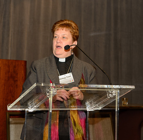 Diocesan Convention 2015