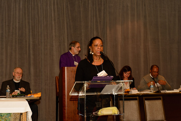 Diocesan Convention 2015