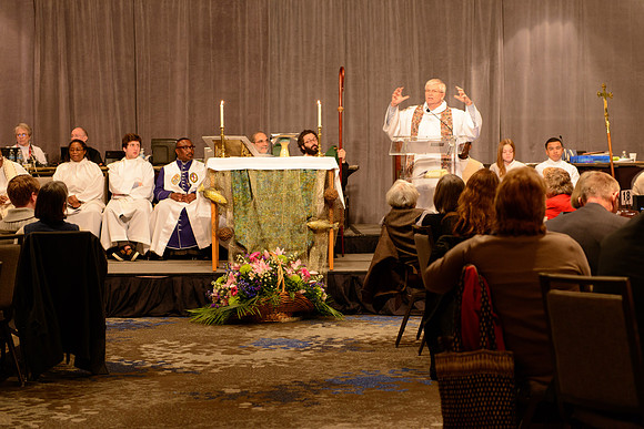 Diocesan Convention 2015