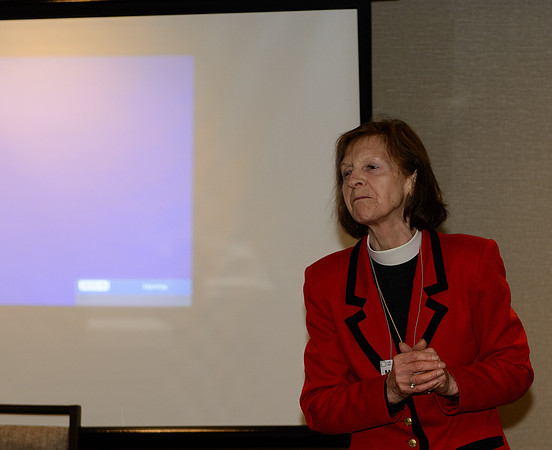 Diocesan Convention 2015