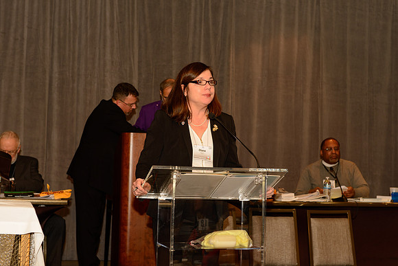 Diocesan Convention 2015